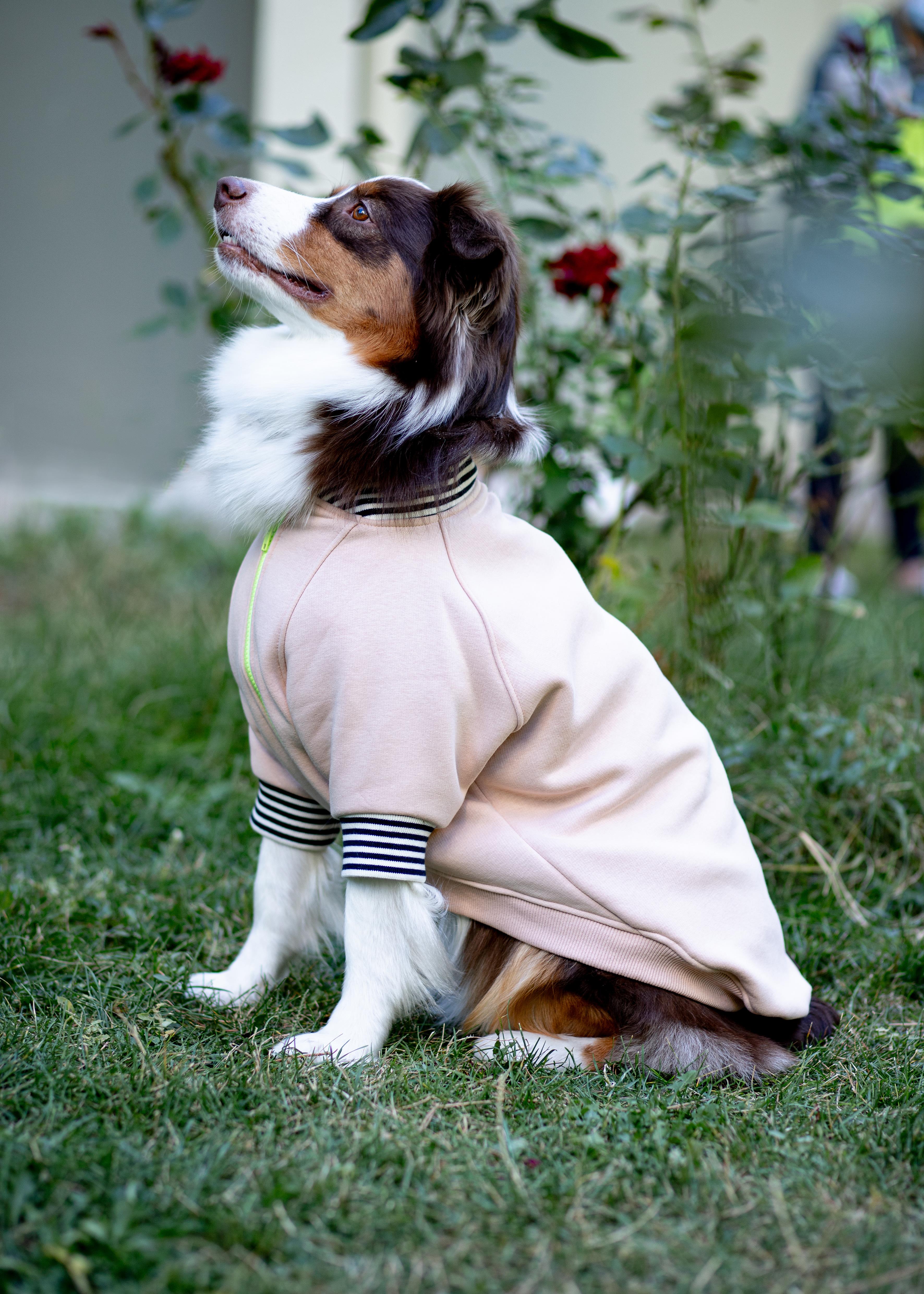 Asky and Erd Bomber Jacket | Vanilla Köpek Ceketi