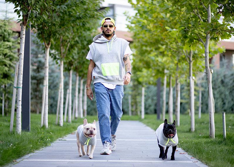 Asky and Erd Brooklyn Sweatshirt |Harbor Grey Köpek Sweatshirti