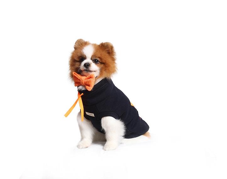 Asky and Erd Brooklyn Sweatshirt | Midnight Blue Köpek Sweatshirti