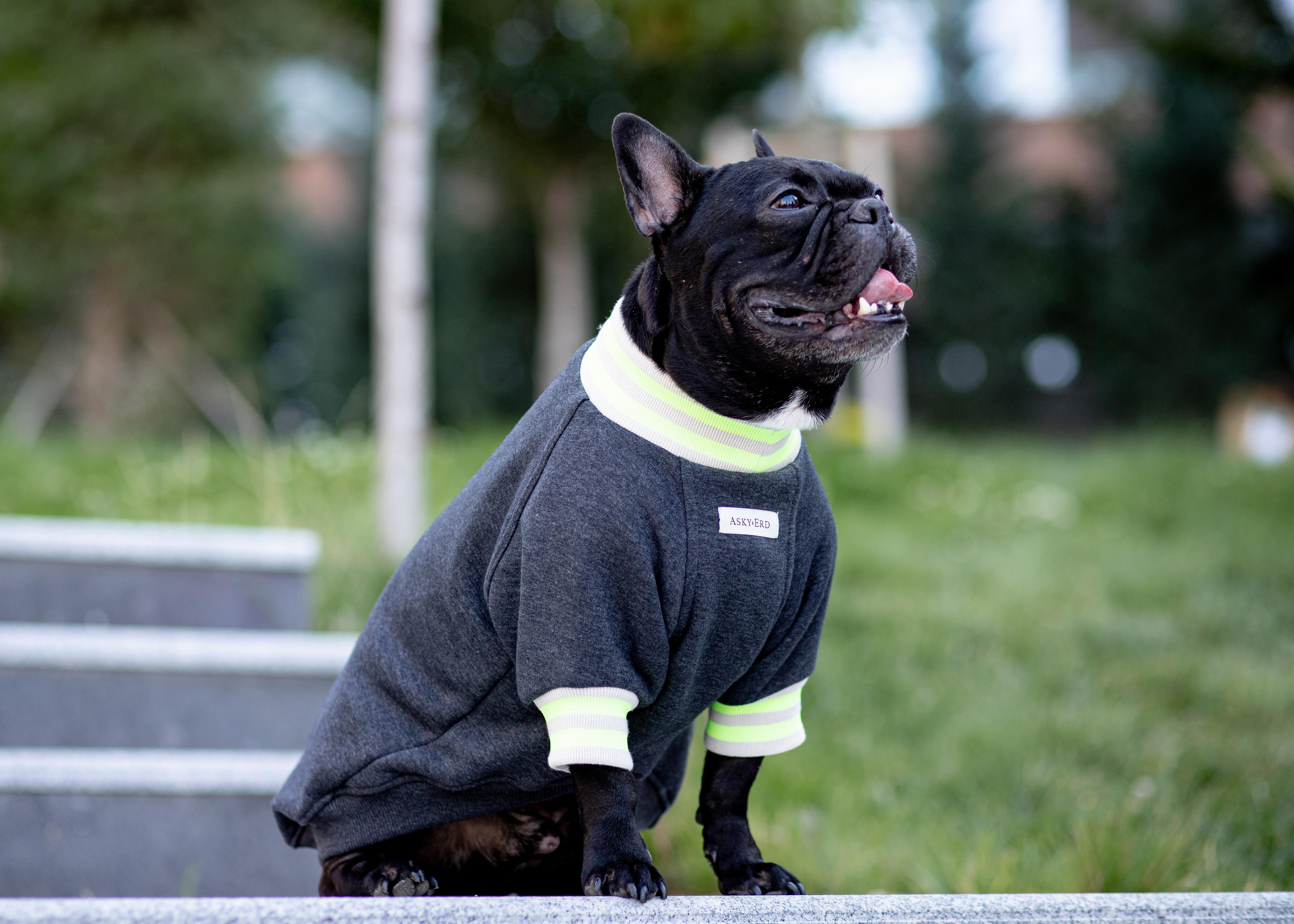 Asky and Erd Manhattan Sweatshirt | Graphite Köpek Sweatshirt