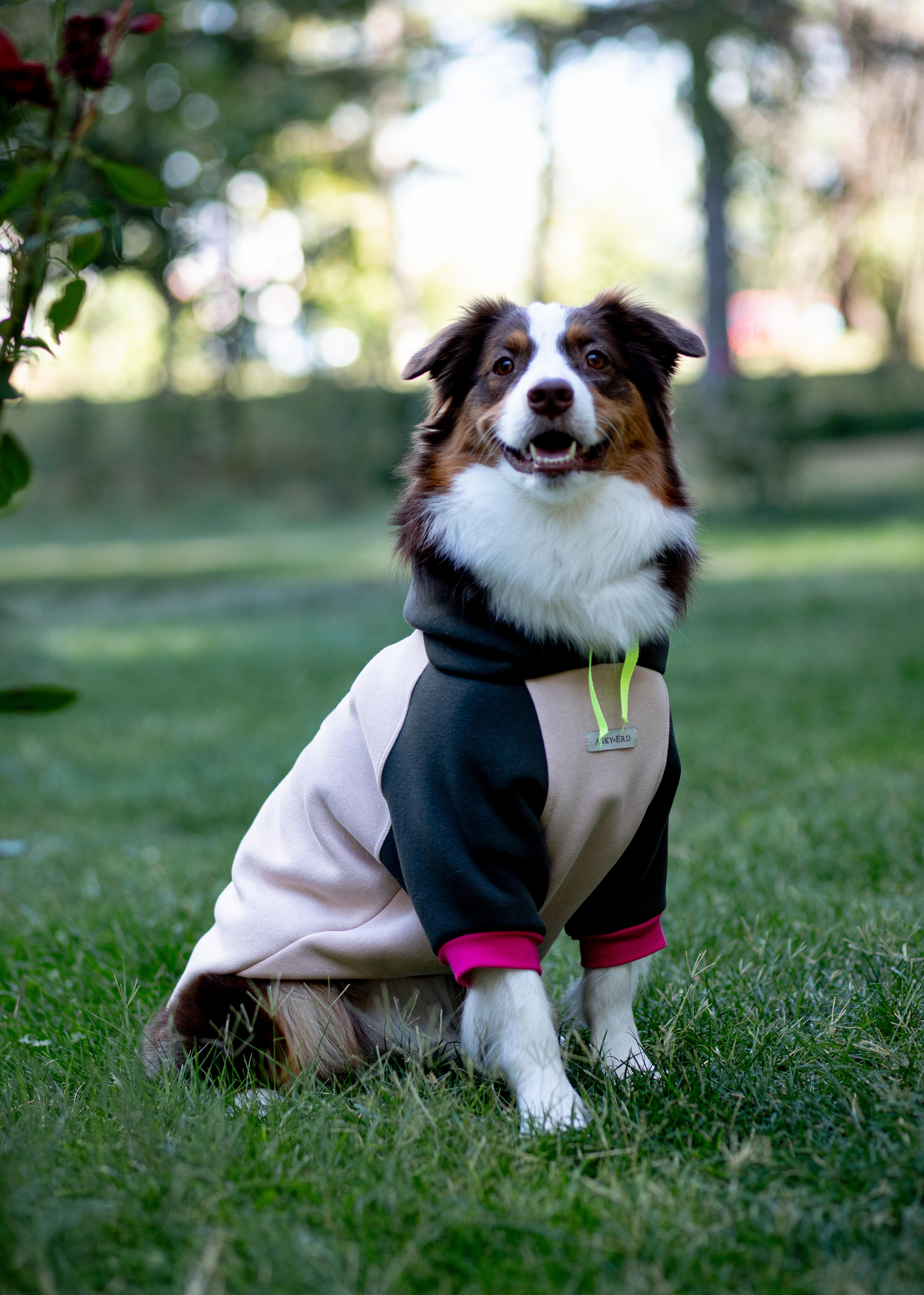 Asky and Erd Soho Hoodie | Vanilla&Khaki Köpek Sweatshirti