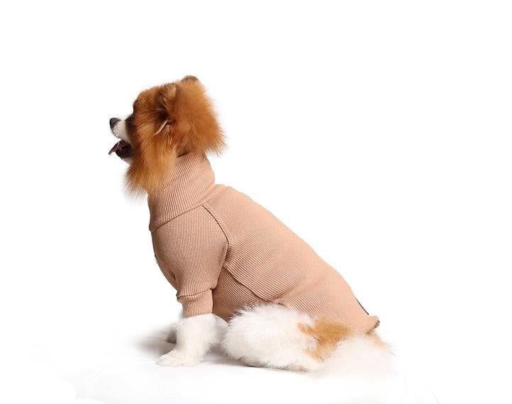 Asky and Erd Turtleneck Tshirt | Desert Sand Köpek Sweatshirt