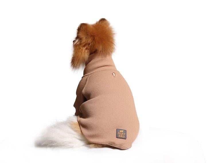 Asky and Erd Turtleneck Tshirt | Desert Sand Köpek Sweatshirt