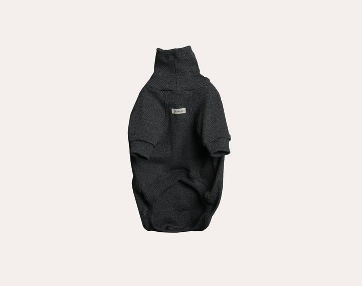 Asky and Erd Turtleneck Tshirt | Graphite Köpek Sweatshirt