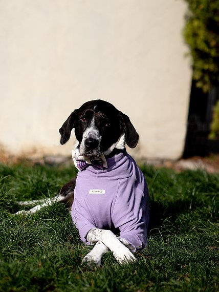 Asky and Erd Turtleneck Tshirt | Lavender Köpek Sweatshirt