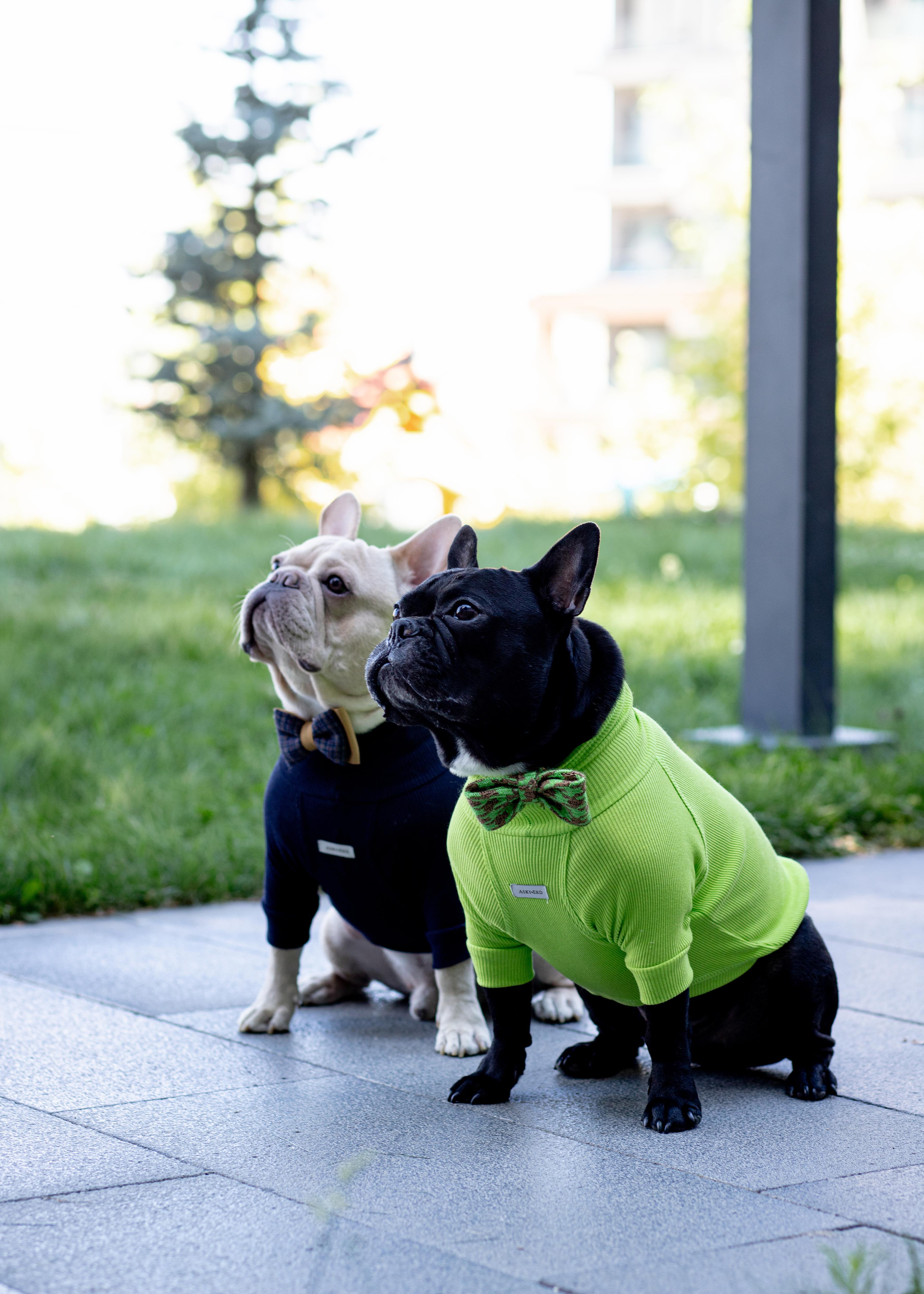 Asky and Erd Turtleneck Tshirt | Lime Köpek Sweatshirt