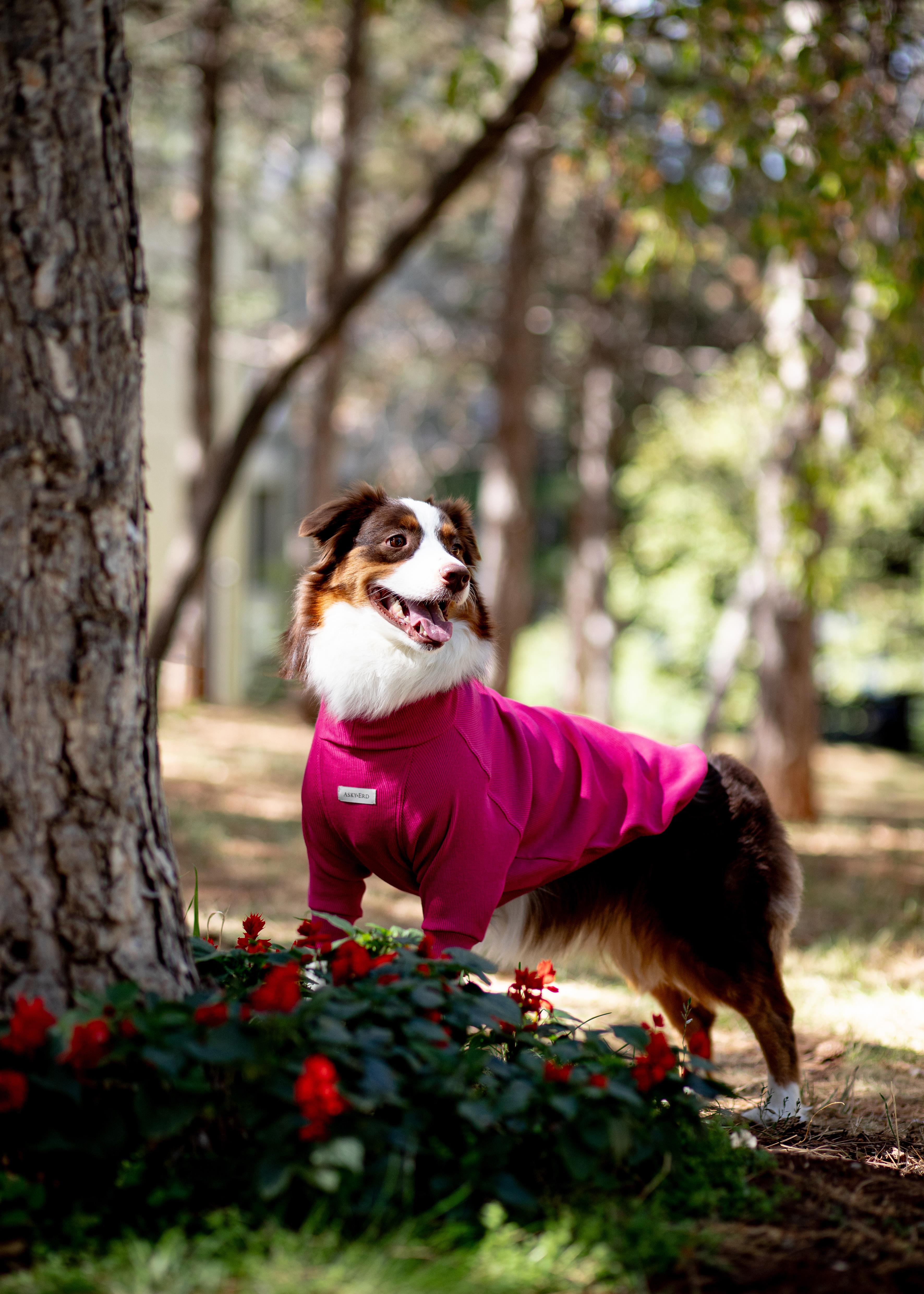 Asky and Erd Turtleneck Tshirt | Magenta Köpek Sweatshirt