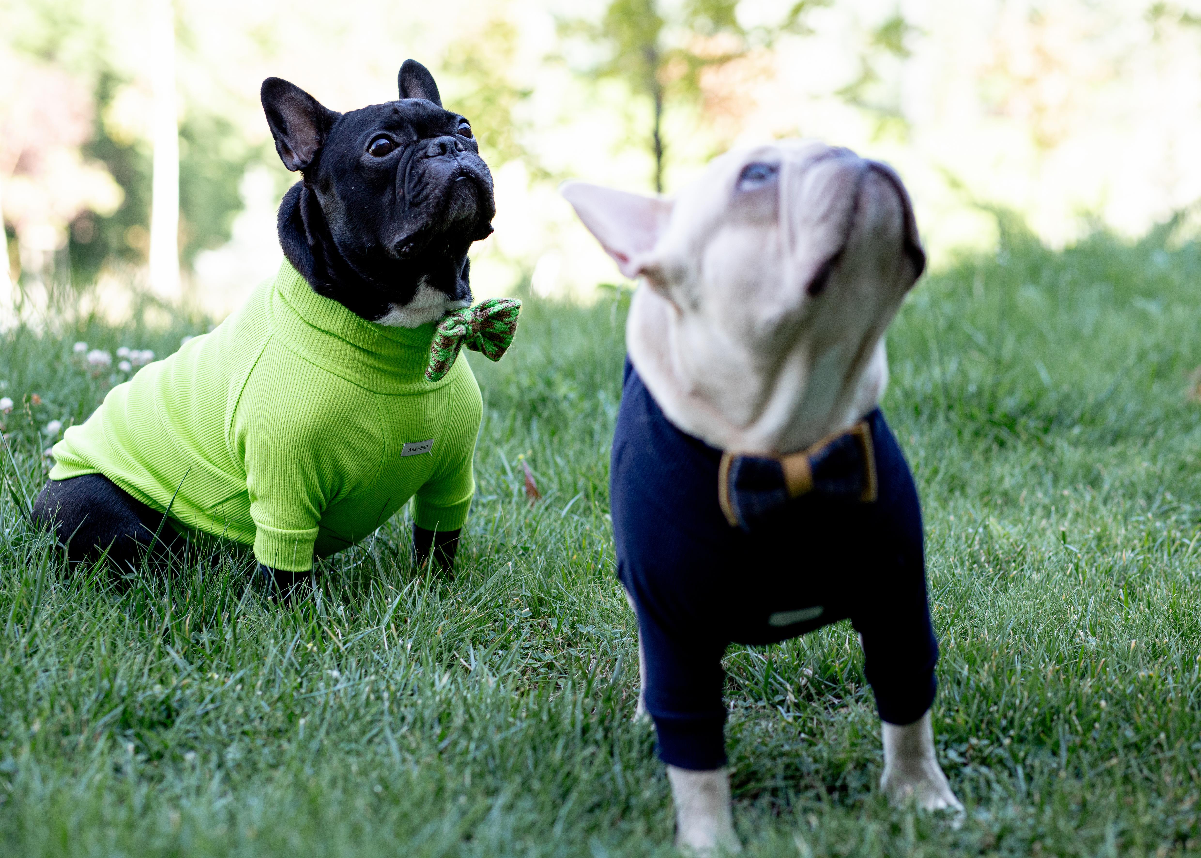 Asky and Erd Turtleneck Tshirt | Navy Köpek Sweatshirt