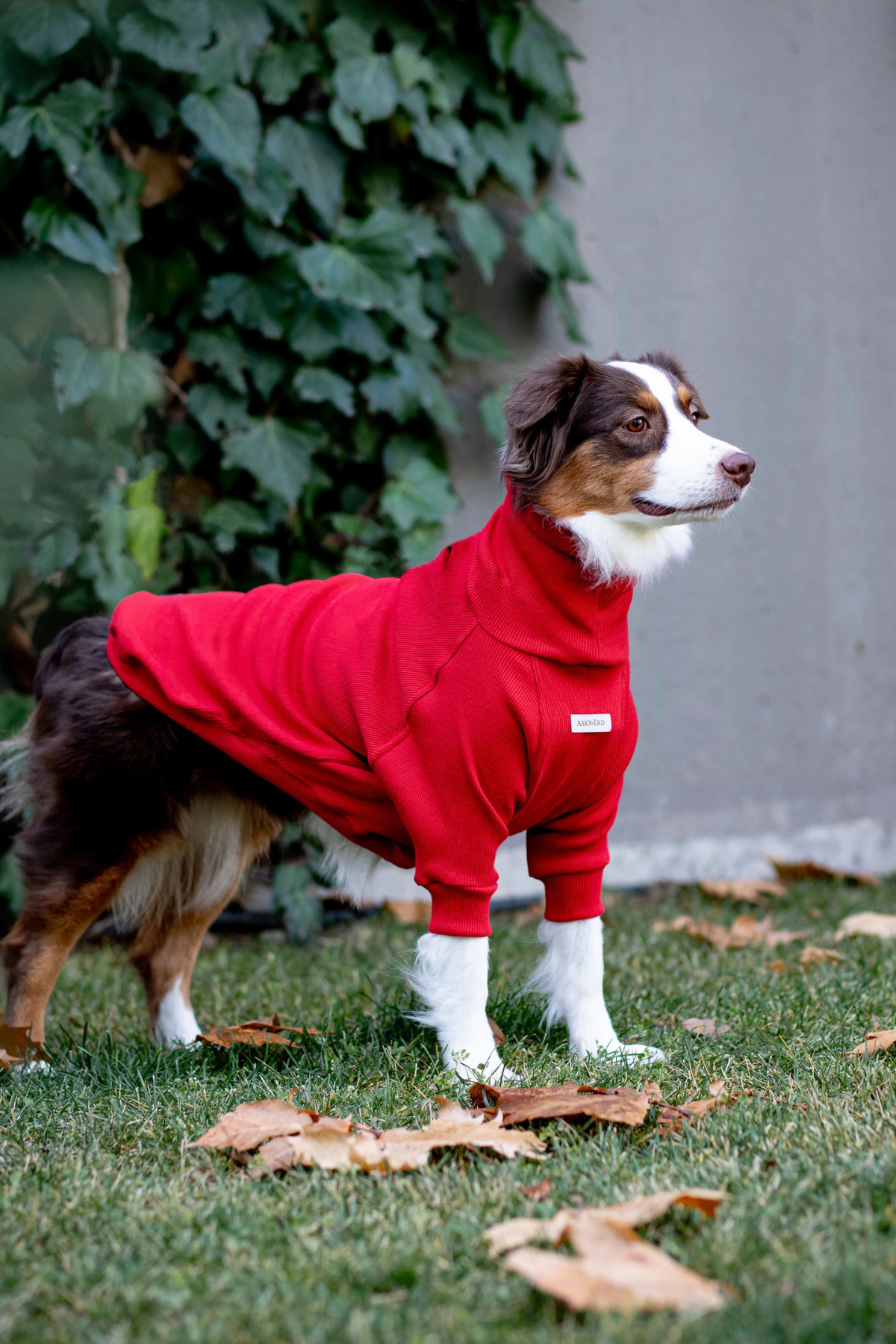 Asky and Erd Turtleneck Tshirt | Santa Red Köpek Sweatshirt