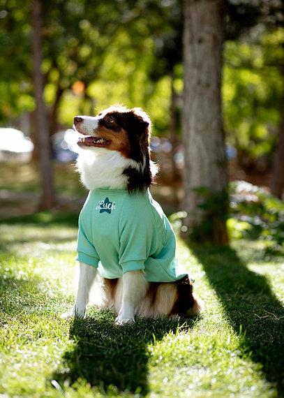 Asky and Erd Valentines Day Collection - Luck Köpek Sweatshirti