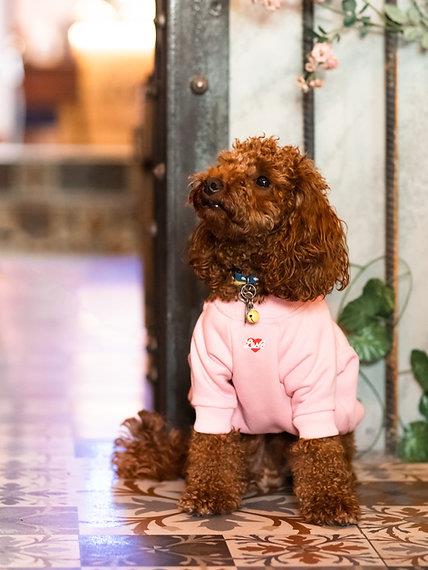 Asky and Erd Valentines Day Collection - Love Köpek Sweatshirti