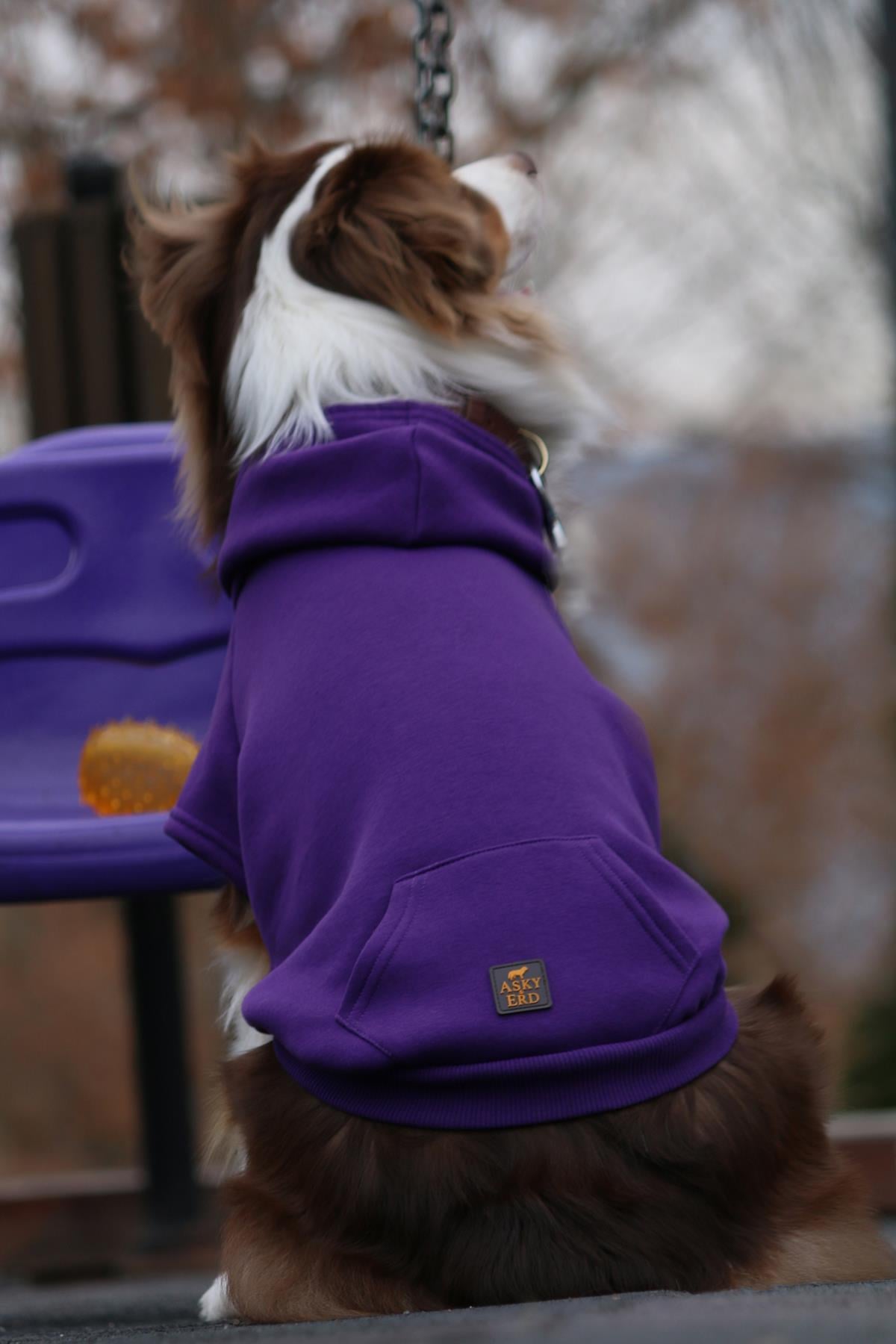 Asky Cozy Hoddie Violet Köpek