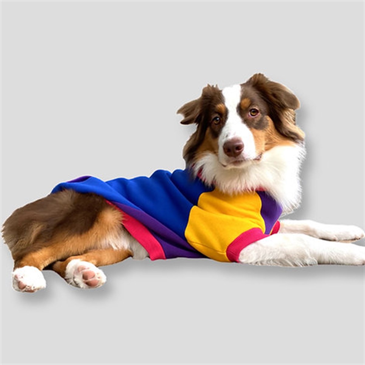 Asky Cozy Hoodie Cali Köpek