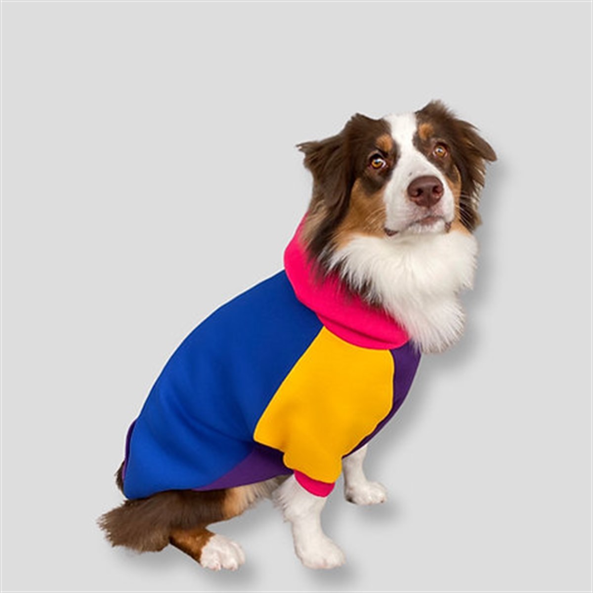 Asky Cozy Hoodie Cali Köpek