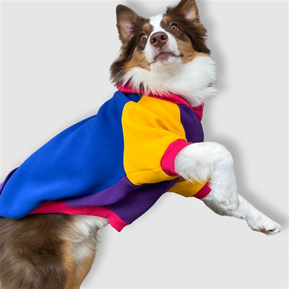 Asky Cozy Hoodie Cali Köpek