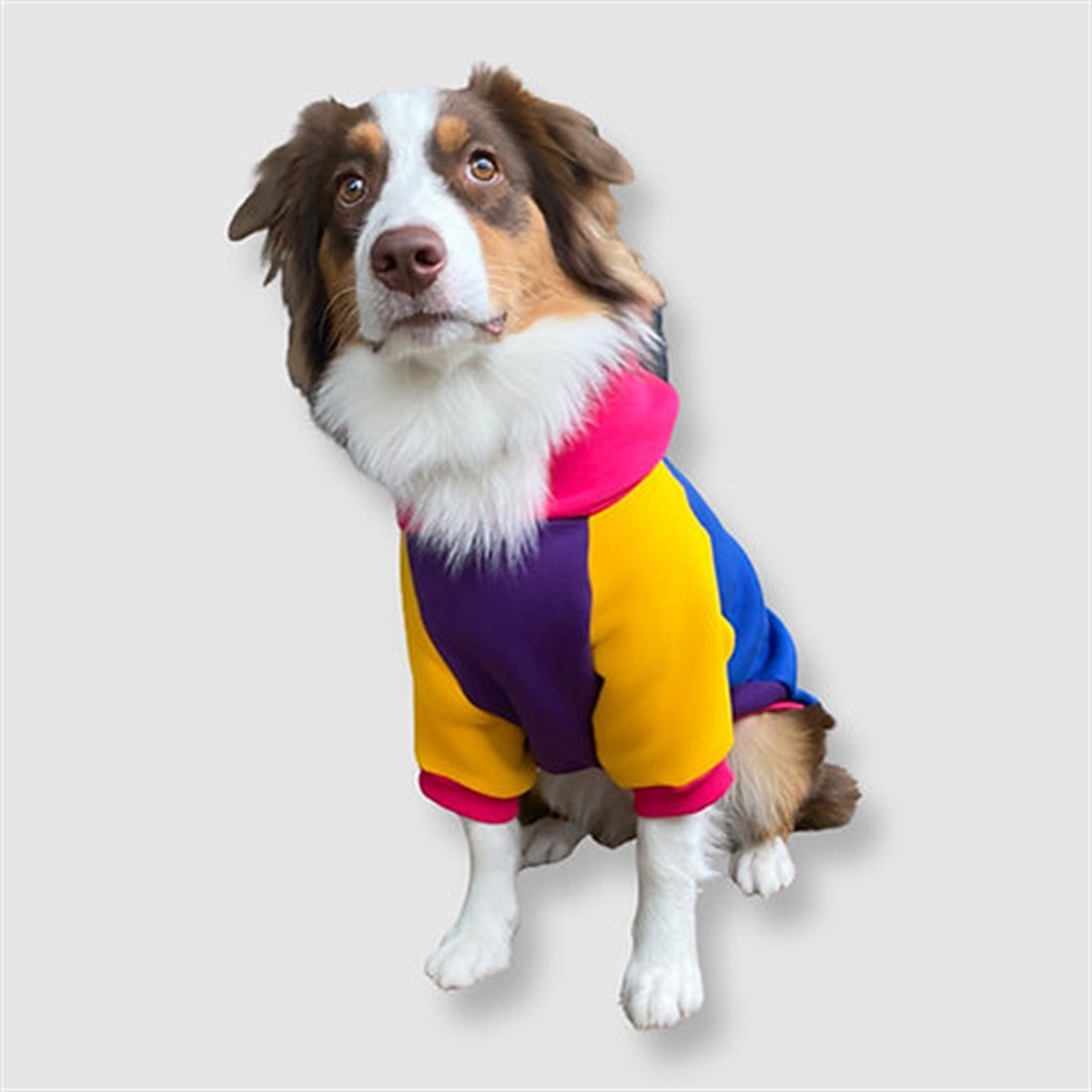 Asky Cozy Hoodie Cali Köpek