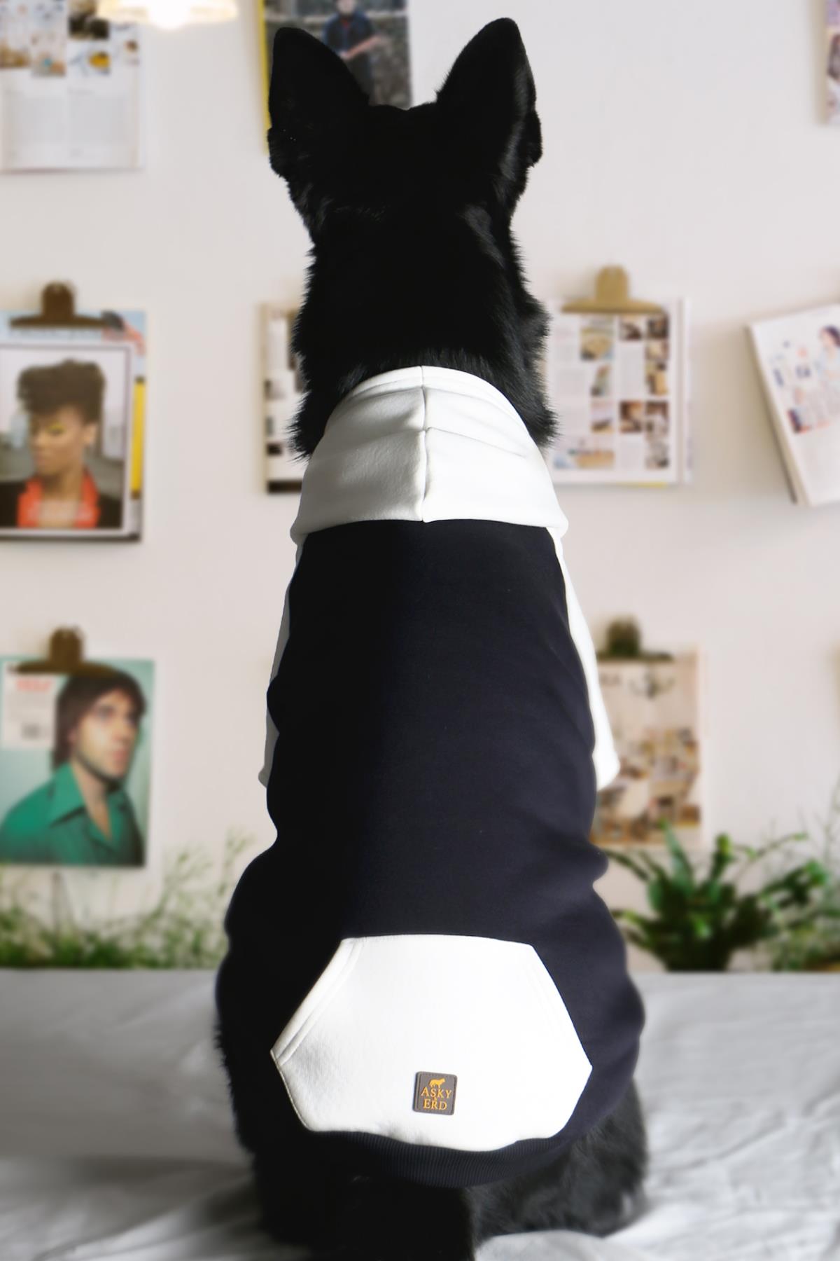 Asky Cozy Hoodie Navy Köpek