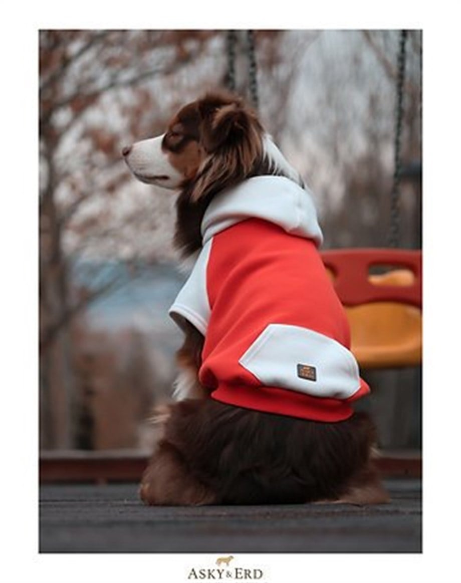 Asky Cozy Hoodie Tangerine Köpek