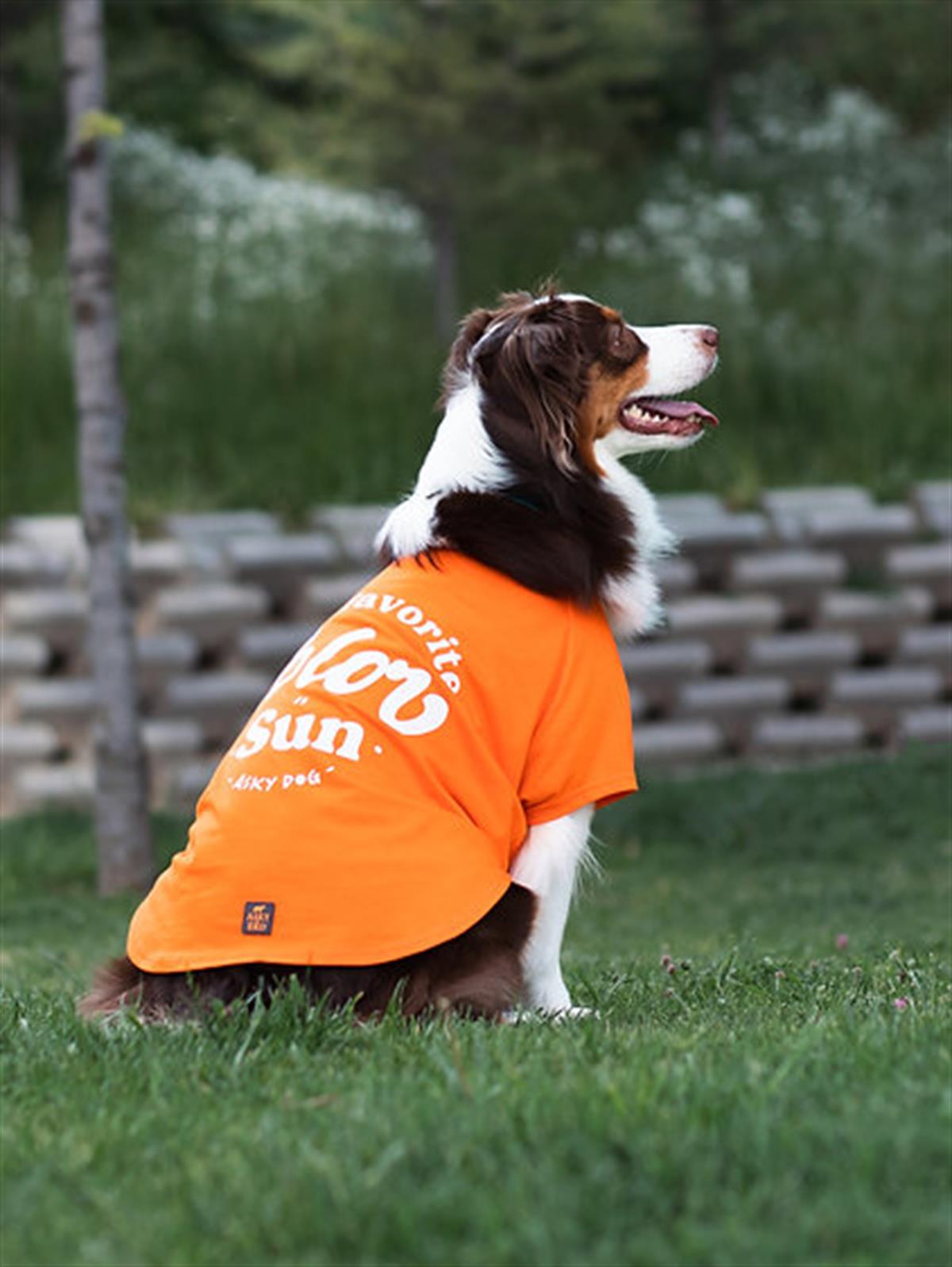 Asky Dog Köpek T-shirt