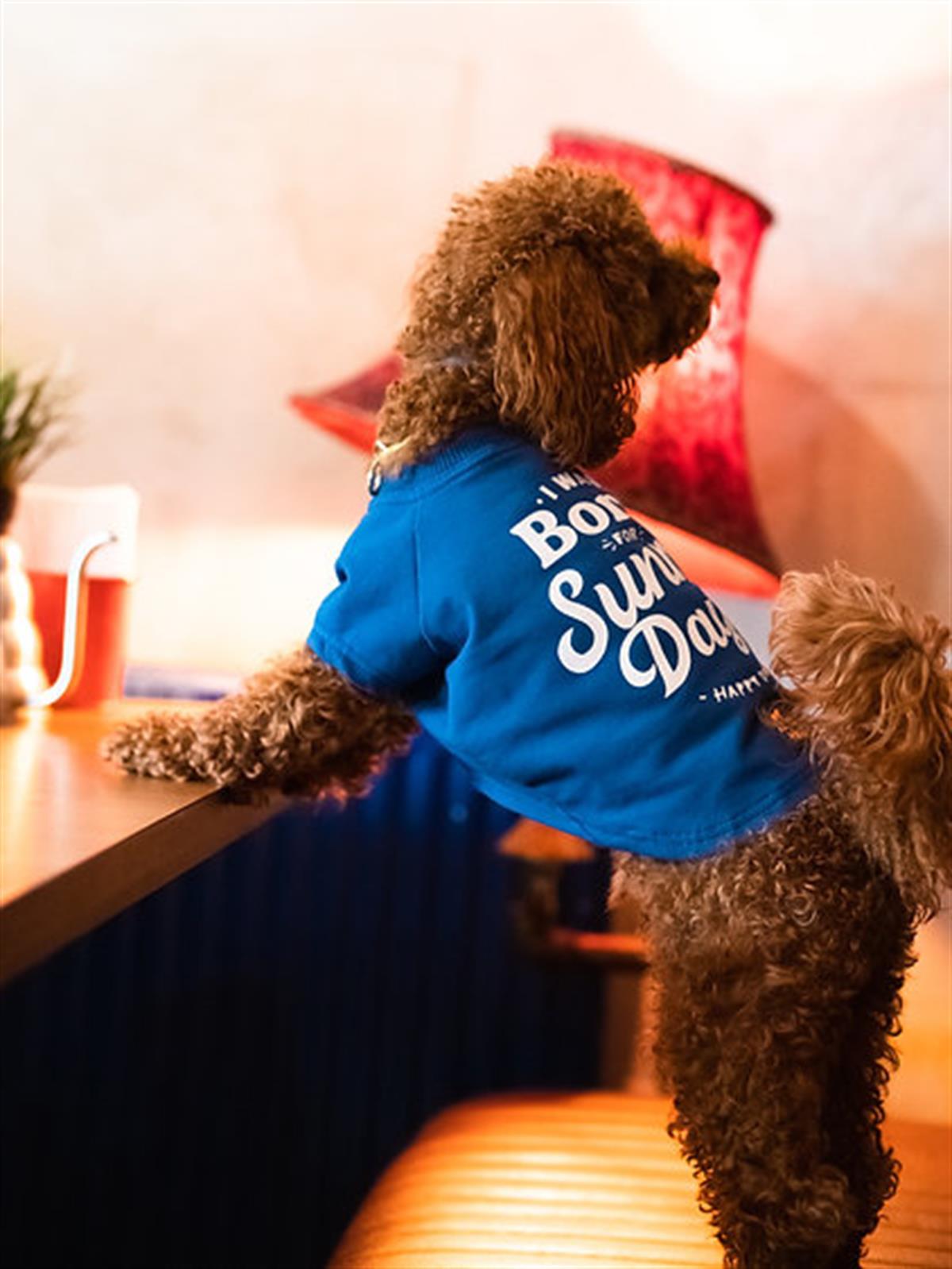 Asky Happy Dog Köpek T-shirt