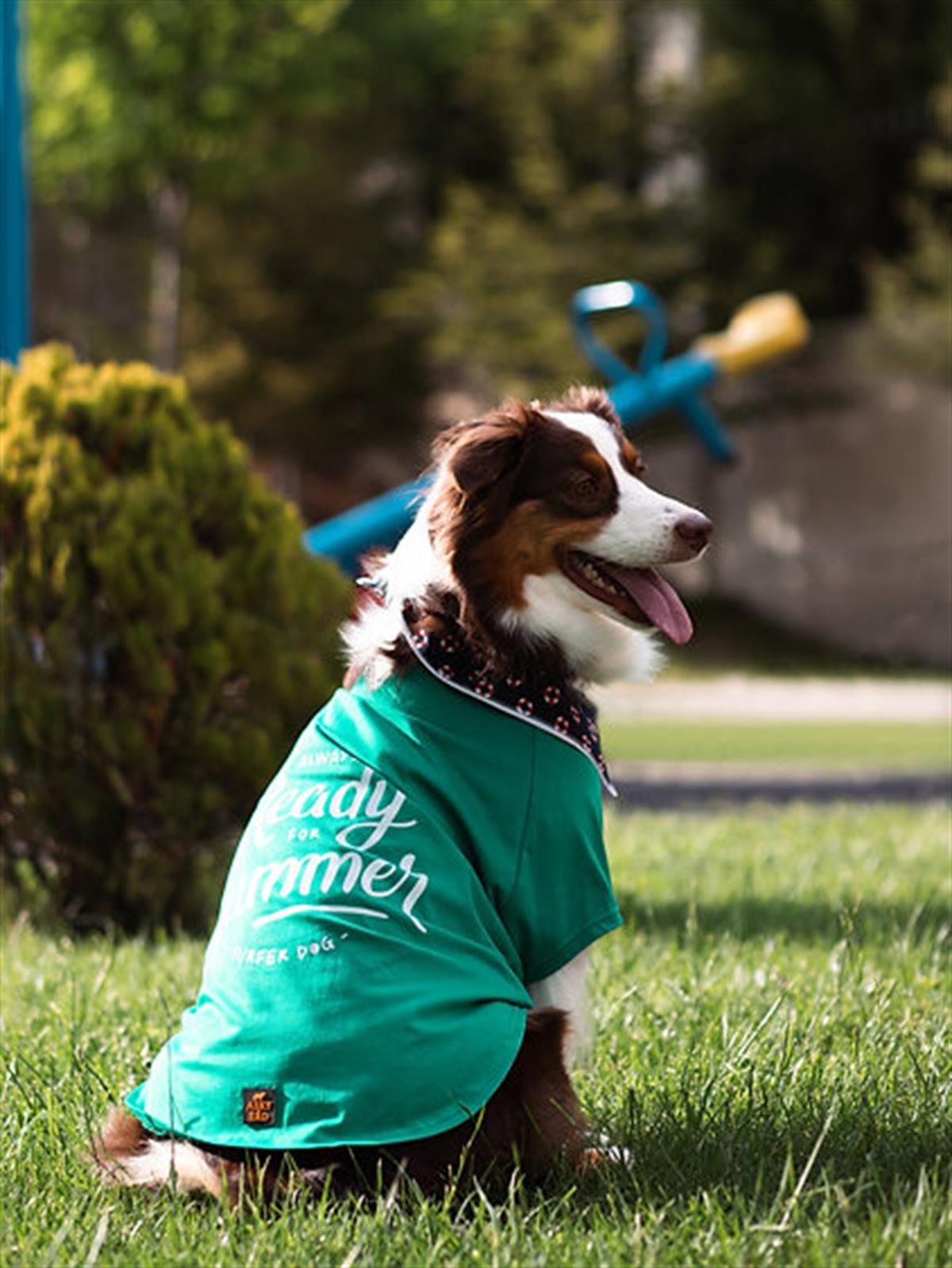 Asky Surfer Dog Köpek T-shirt