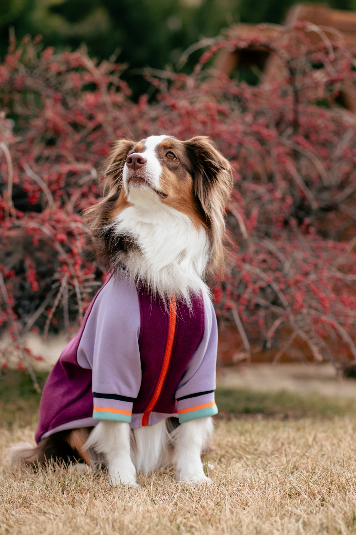 Asky&Erd Bomber Jacket | Berry Burst