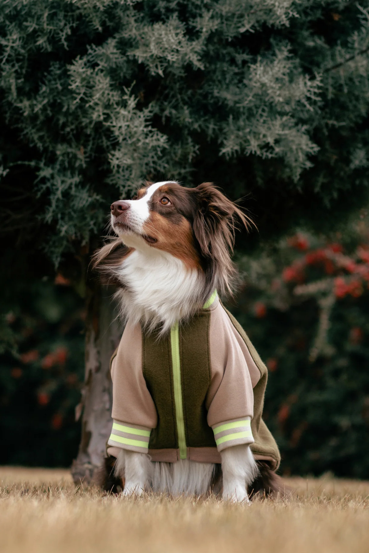 Asky&Erd Bomber Jacket | Olive Glow