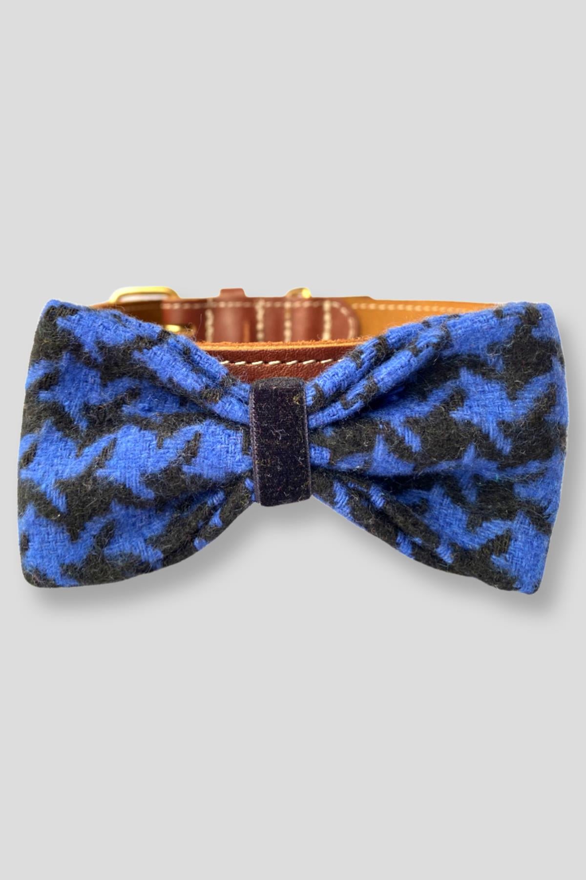 Asky&Erd Bow Tie Blue Orchid Köpek Papyon