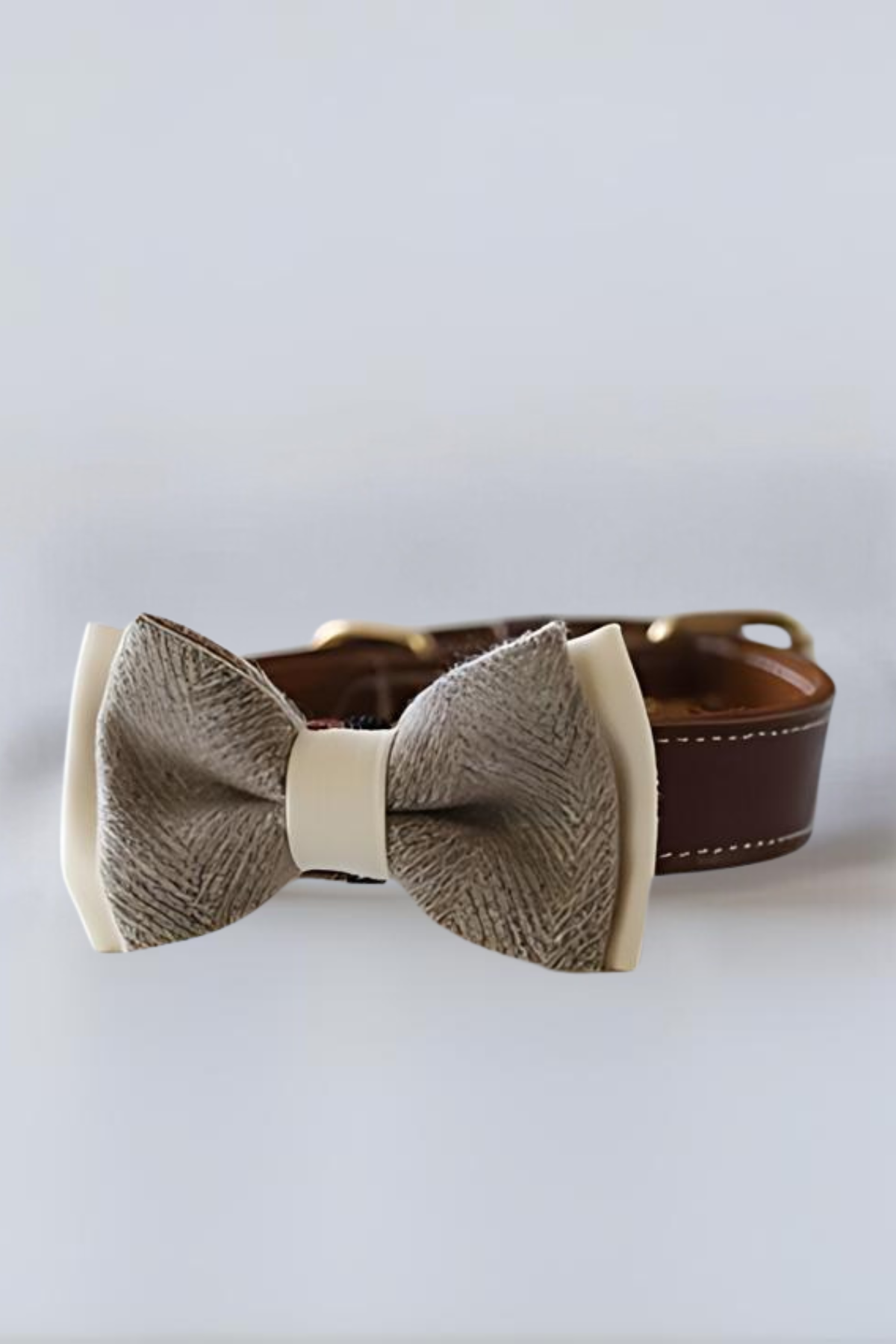 Asky&Erd Bow Tie Latte Köpek Papyon