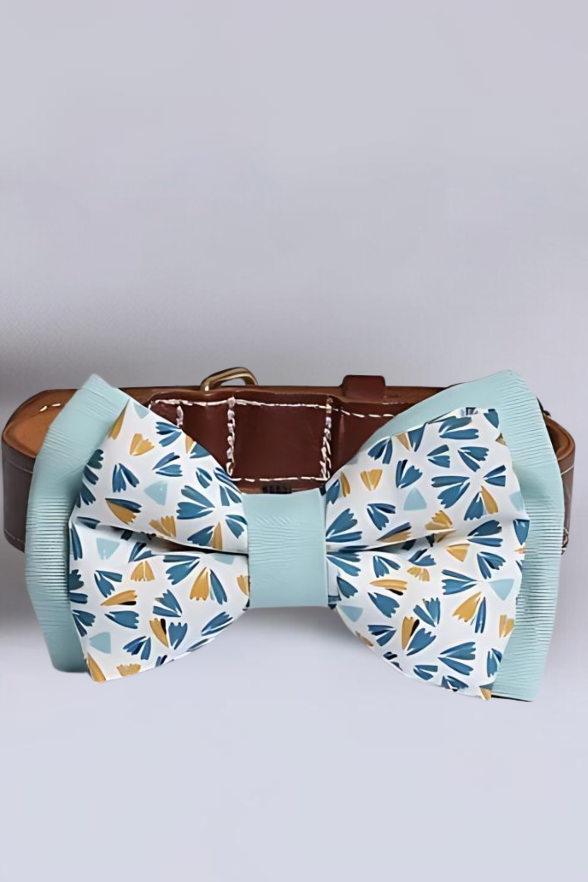 Asky&Erd Bow Tie Mint Köpek Papyon