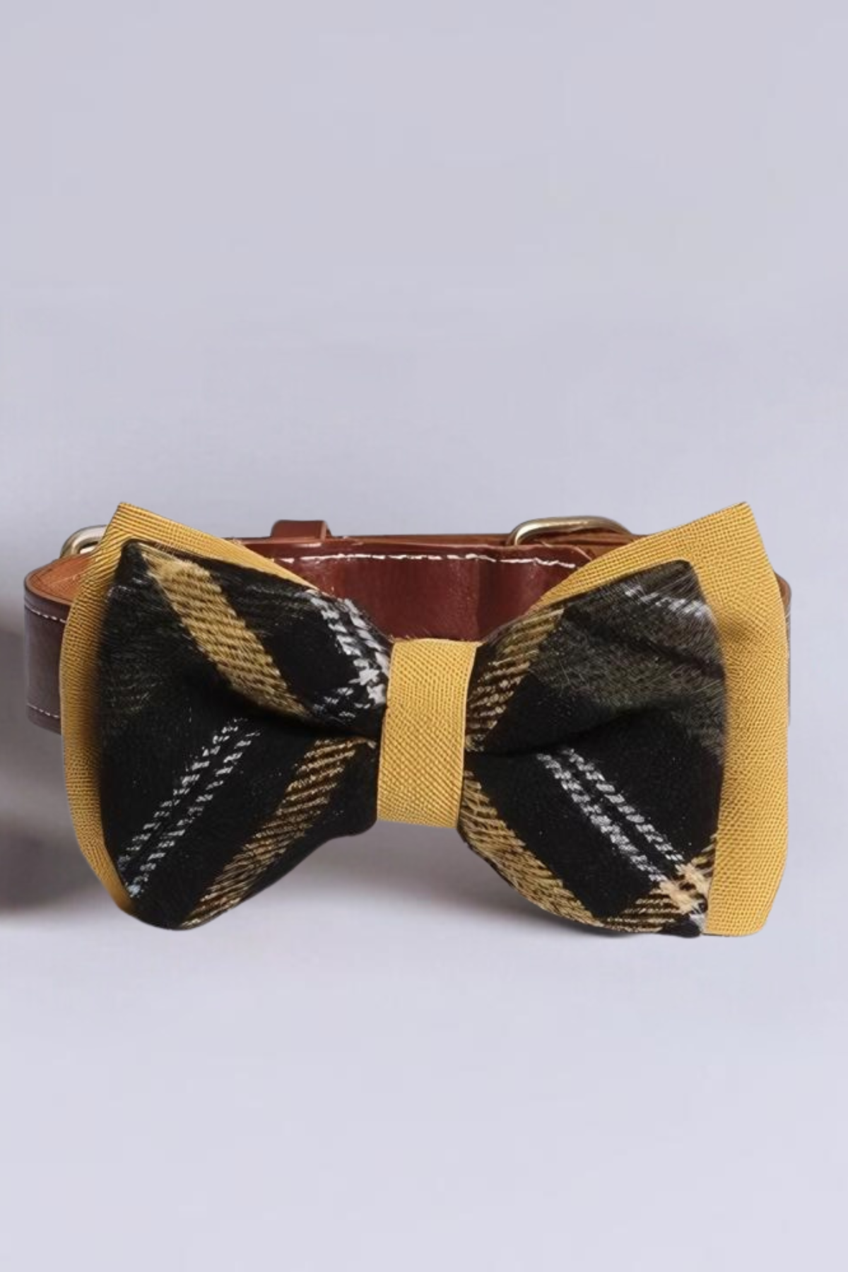 Asky&Erd Bow Tie Mustard Köpek Papyon