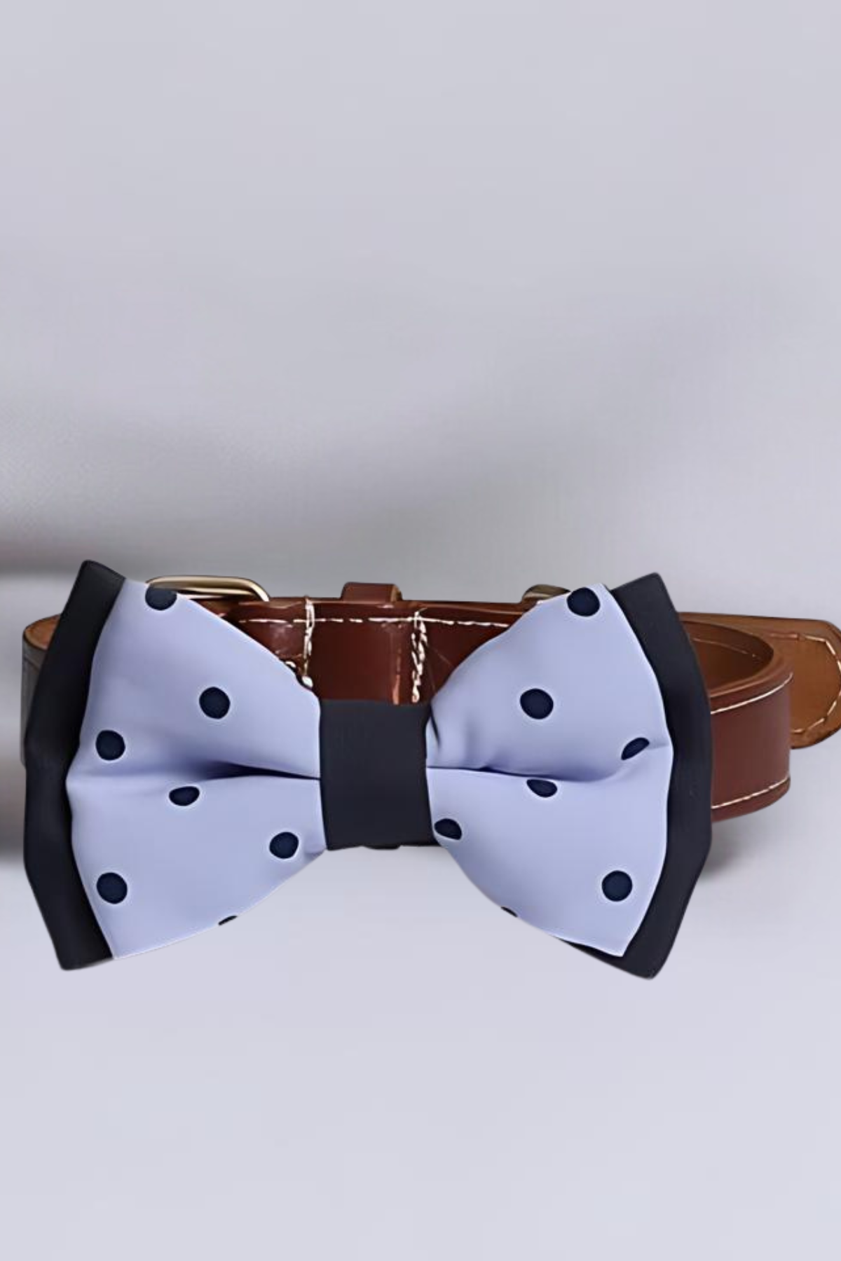 Asky&Erd Bow Tie Navy Dots Köpek Papyon