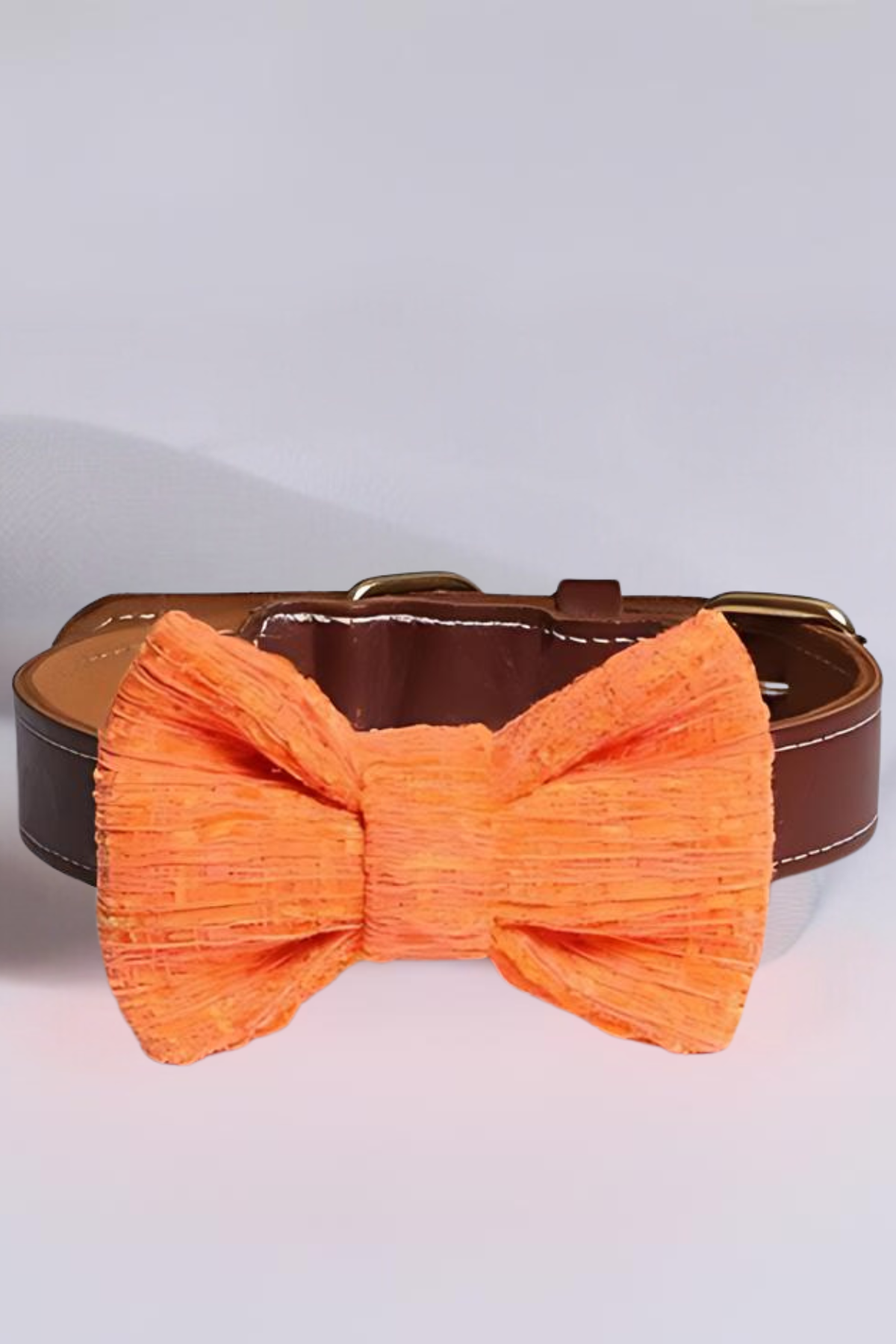 Asky&Erd Bow Tie Orange Köpek Papyon