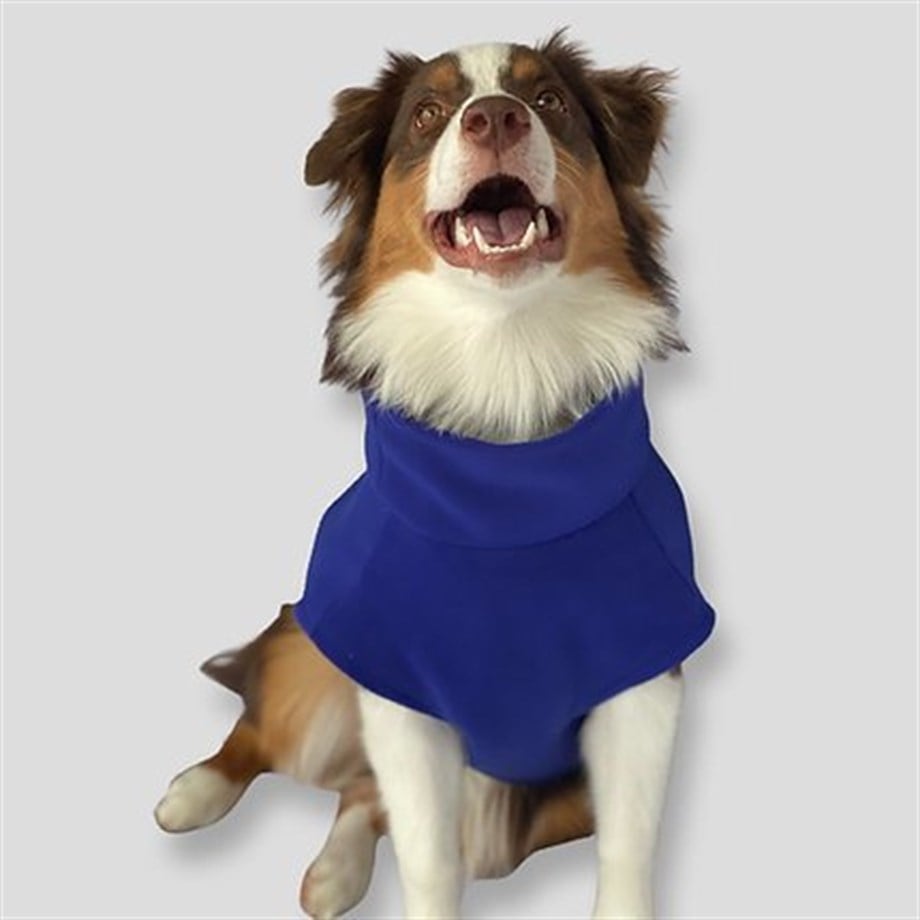 Asky&Erd Cachet Vest Azure Blue Köpek Hoodie