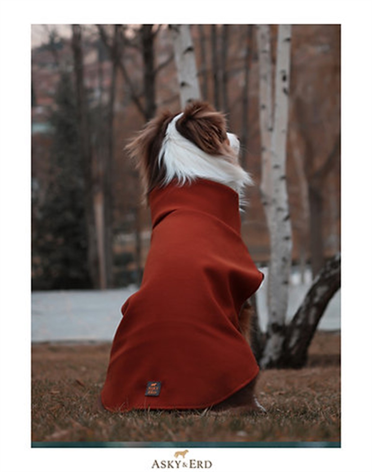 Asky & Erd Cachet Vest Brick Color Dog Hodie