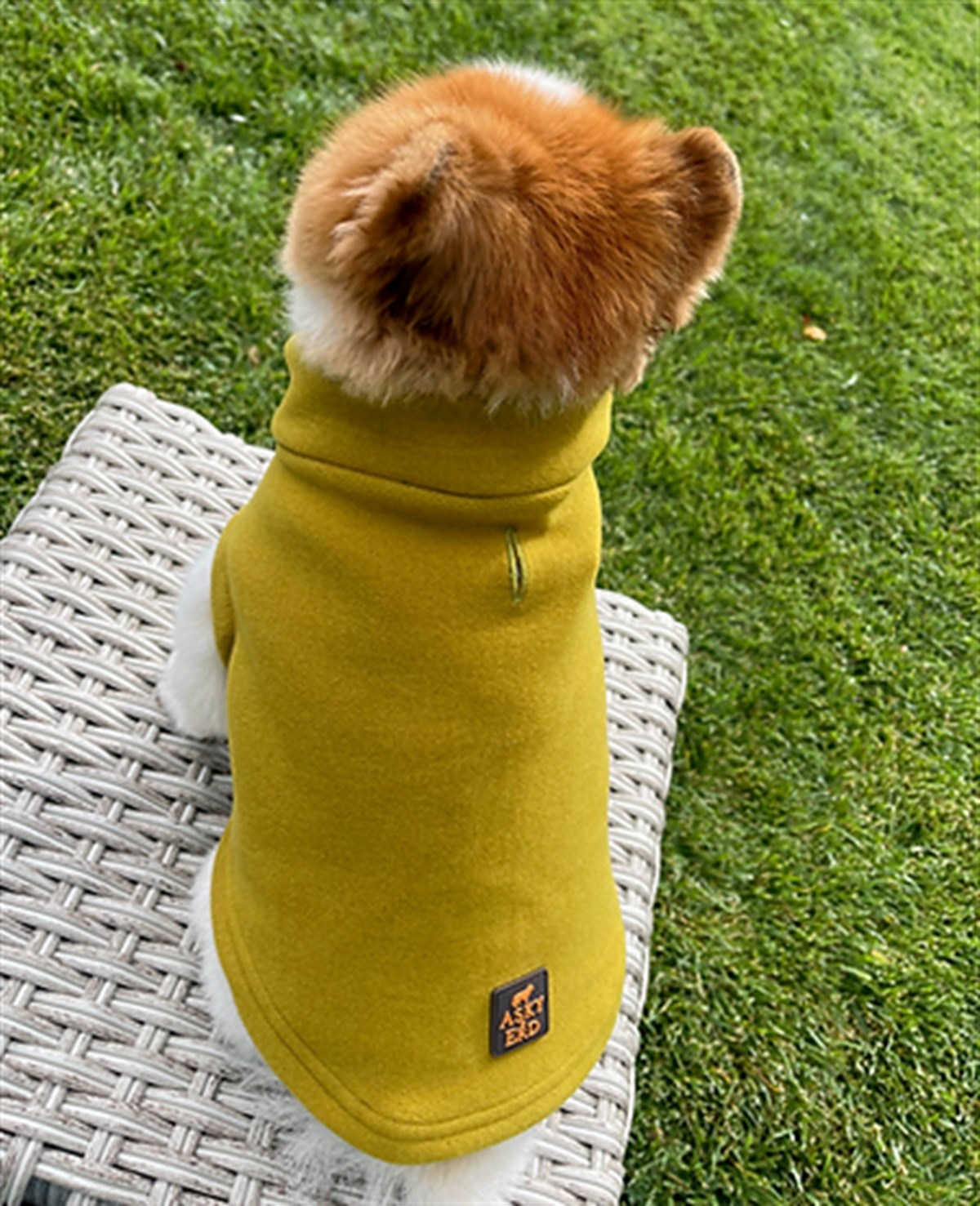 Asky & Erd Cachet Vest Chartreuse Dog Hodiie