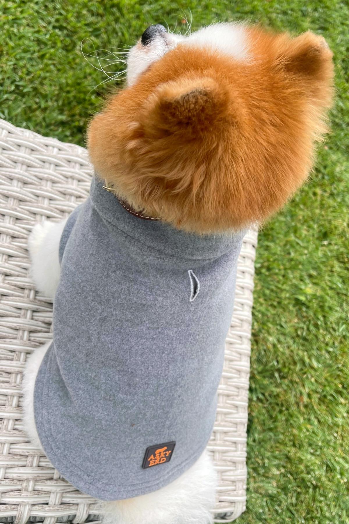 Asky & Erd Cachet Vest Cloudy Gray Dog Hodie