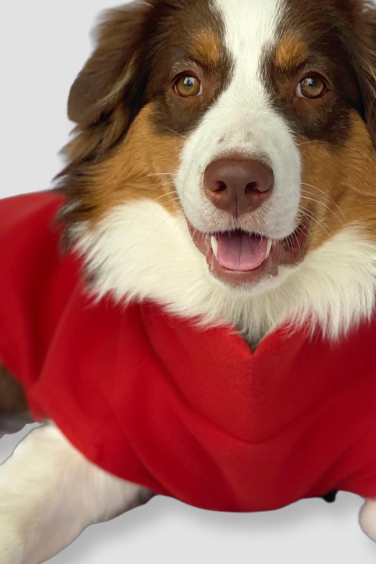 Asky&Erd Cachet Vest Crimson Red Köpek Hoodie