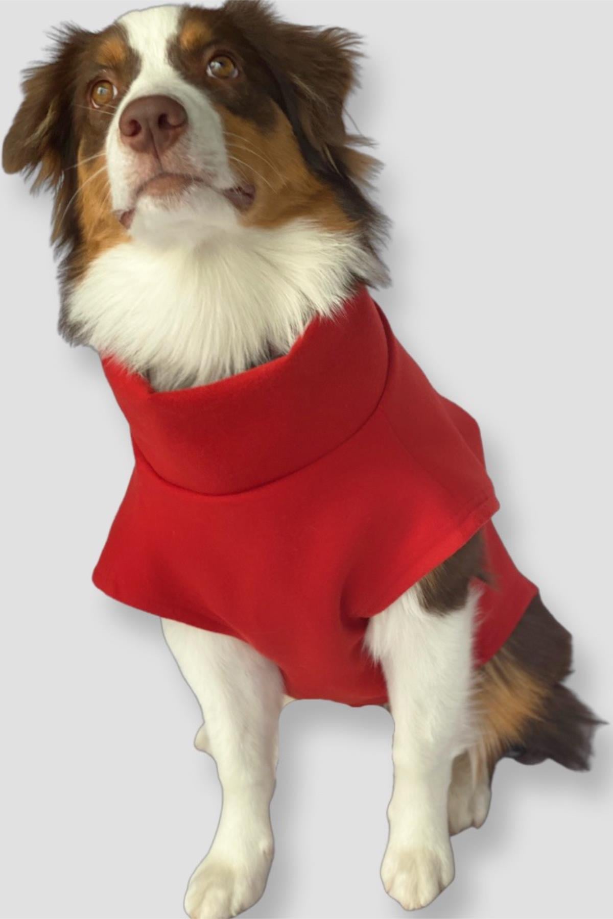 Asky&Erd Cachet Vest Crimson Red Köpek Hoodie