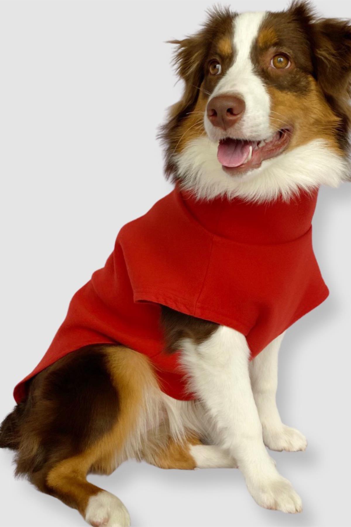 Asky&Erd Cachet Vest Crimson Red Köpek Hoodie