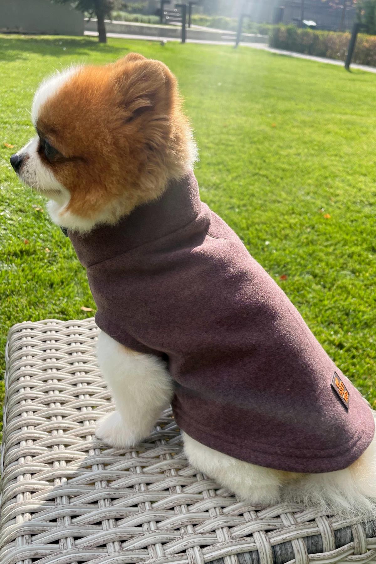 Asky & Erd Cachet Vest Plum Dog Hodie