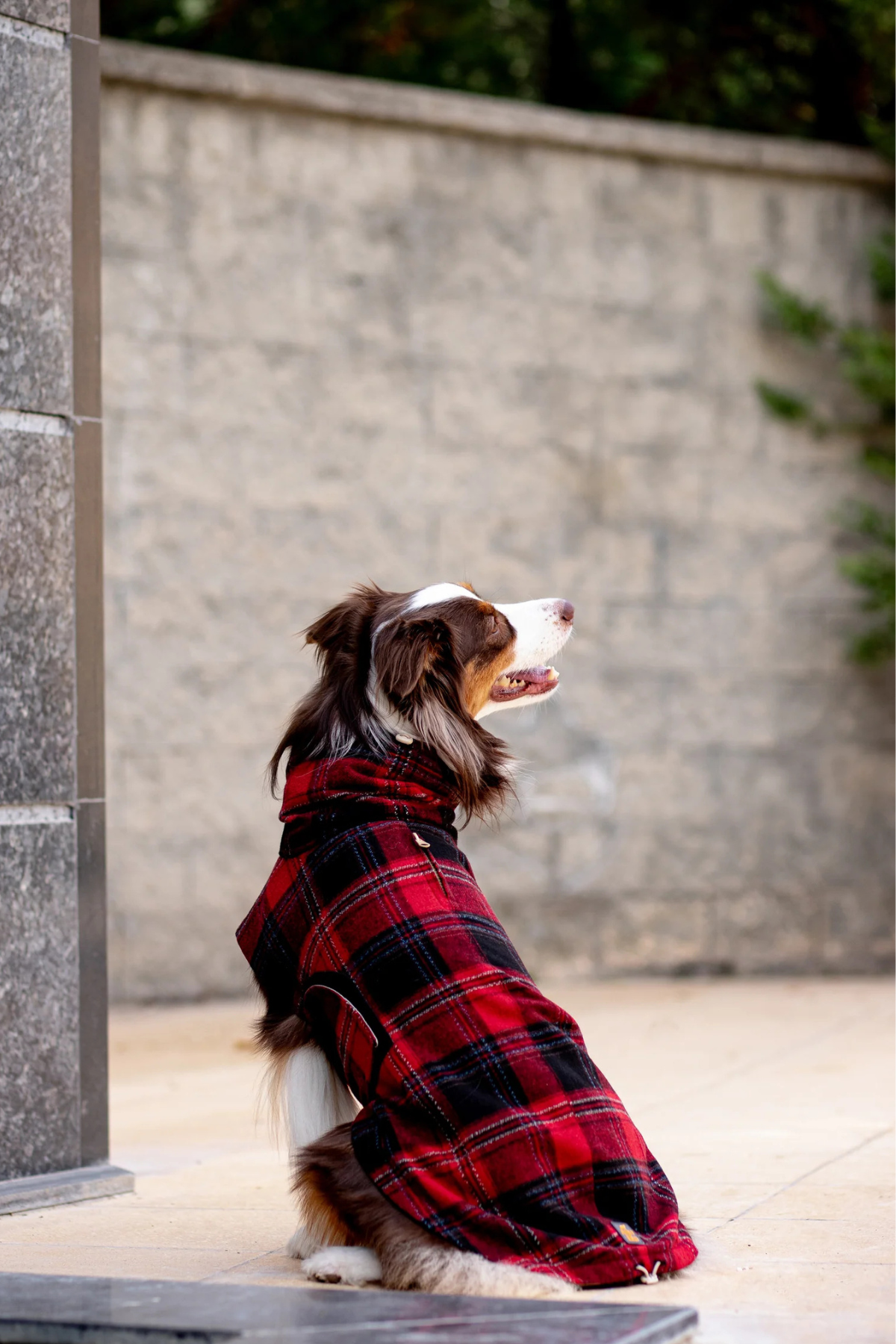 Asky&Erd Chicago Vest | Red Plaid 