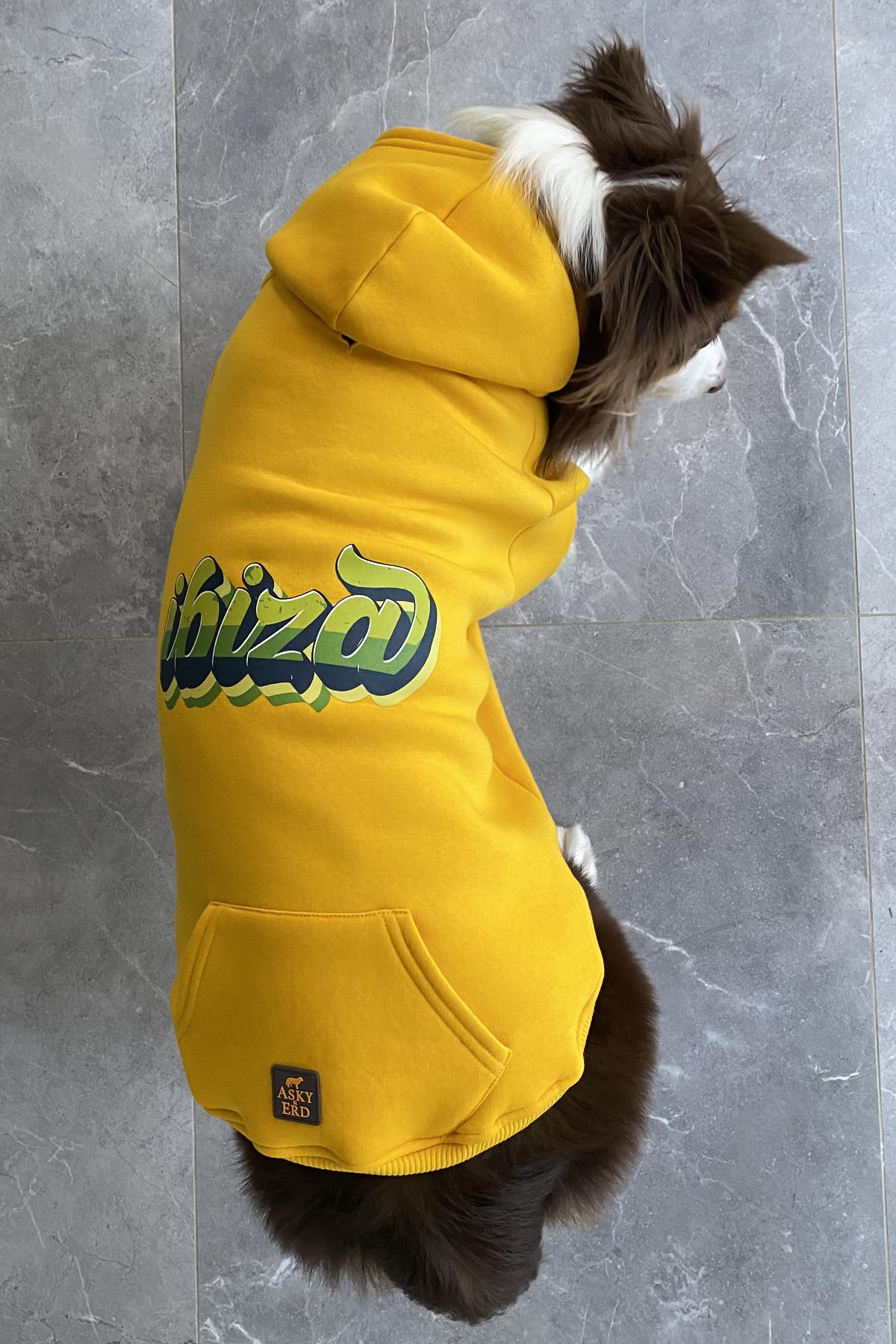 Asky&Erd Dream City Collection - Ibiza Köpek Sweatshirtü