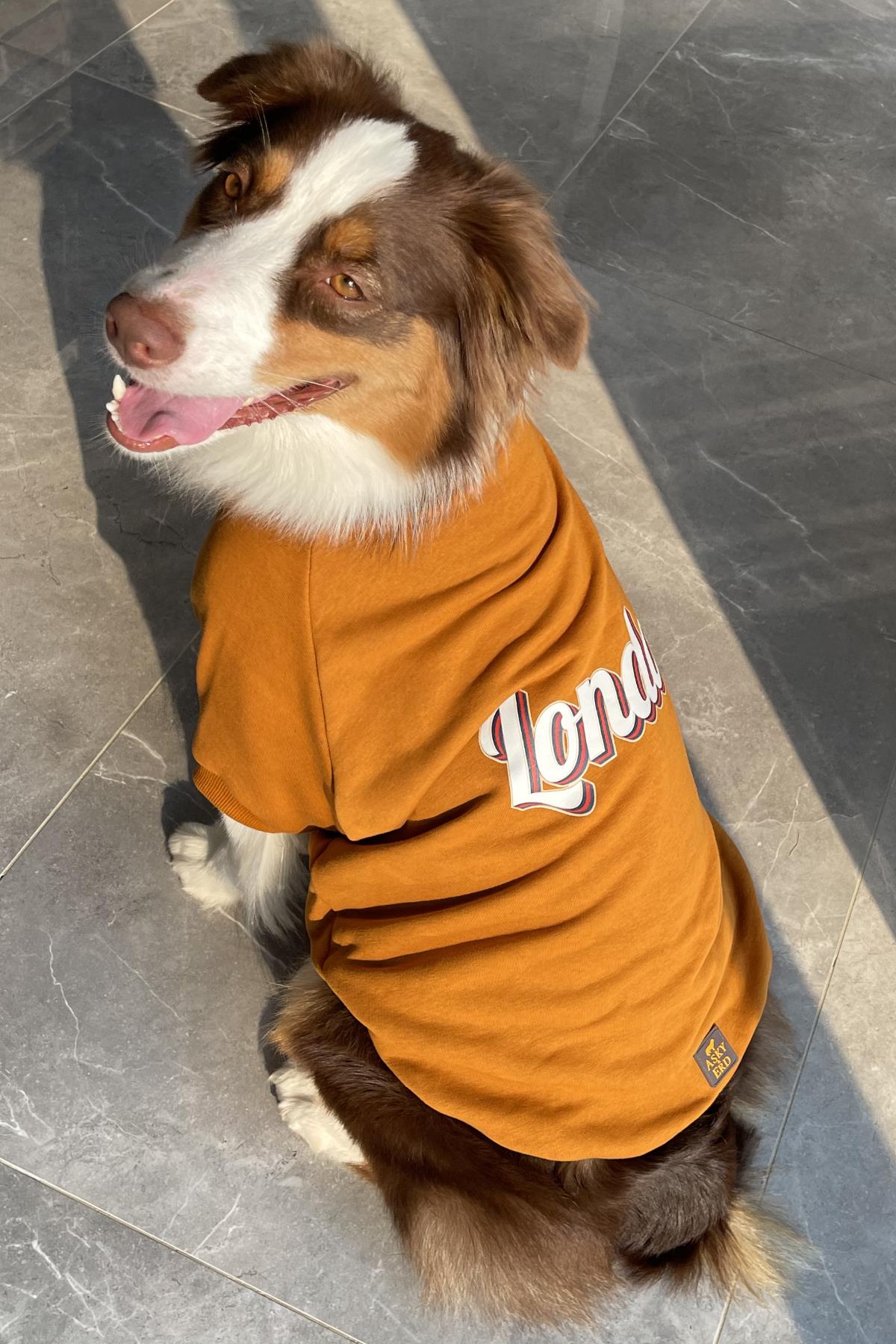 Asky&Erd Dream City Collection - London Köpek Sweatshirtü