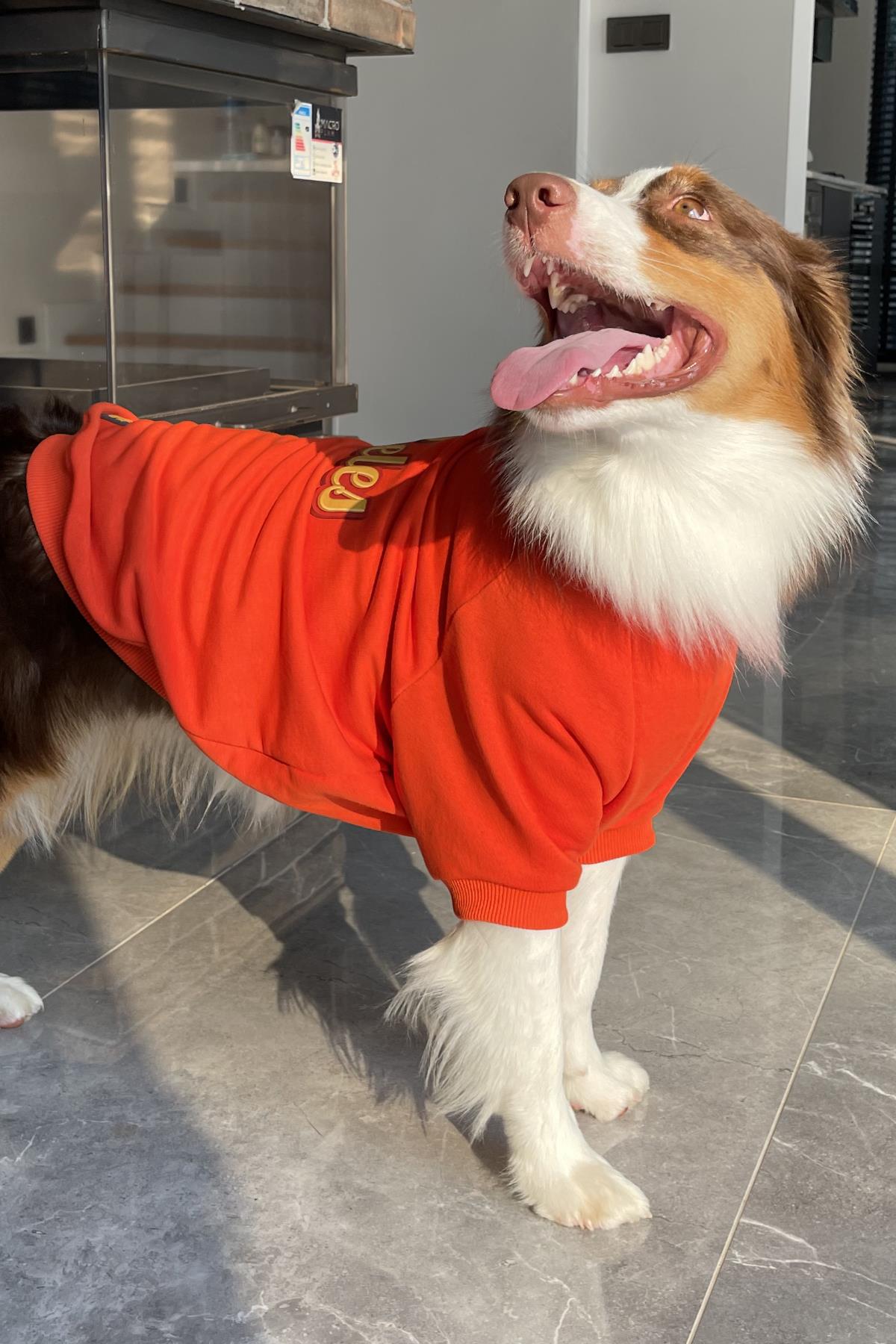 Asky&Erd Dream City Collection - Los Angles Köpek Sweatshirtü