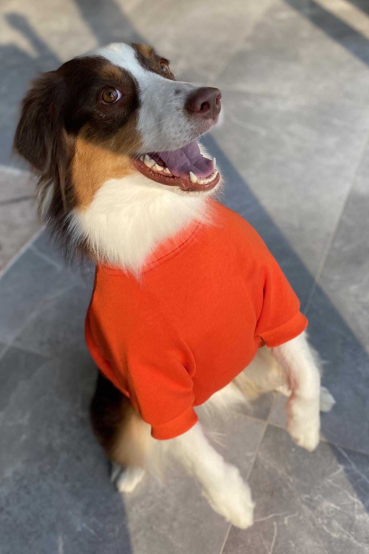 Asky&Erd Dream City Collection - Los Angles Köpek Sweatshirtü