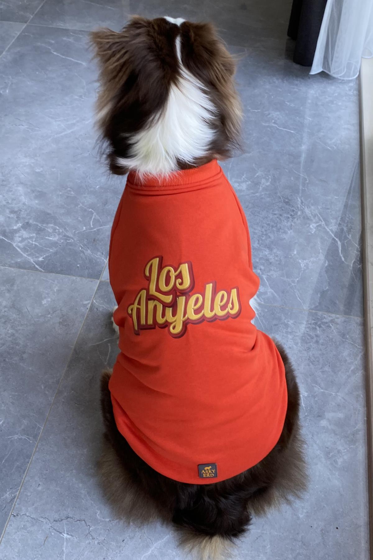 Asky&Erd Dream City Collection - Los Angles Köpek Sweatshirtü