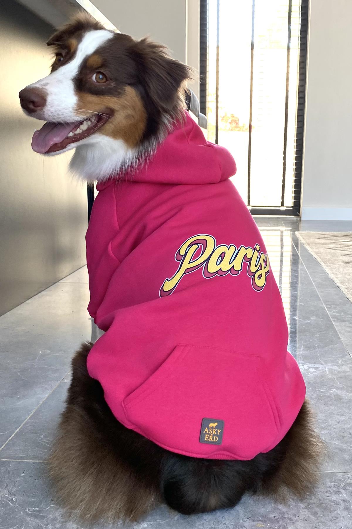 Asky&Erd Dream City Collection - Paris Köpek Sweatshirtü