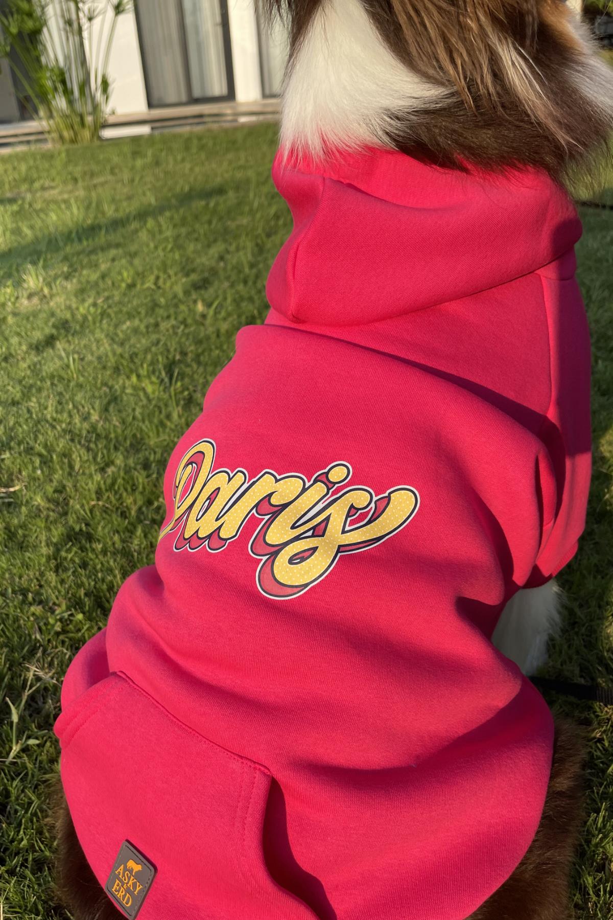 Asky&Erd Dream City Collection - Paris Köpek Sweatshirtü