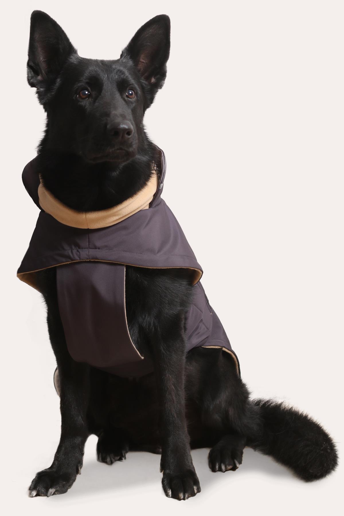 Asky&Erd Extreme Wheater Coat I Anchor Grey Köpek Montu